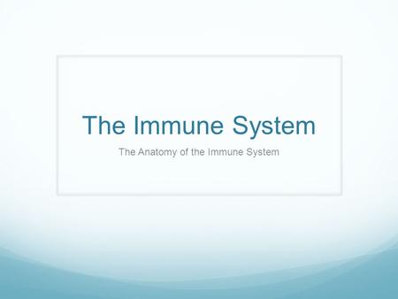 The Immune System The Anatomy of the Immune System.