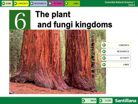 The plant and fungi kingdoms CONTENTS HOME CONTENTS RESOURCES ACTIVITY