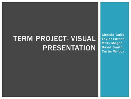 Chelsie Guild, Taylor Larsen, Mary Magee, David Smith, Curtis Wilcox TERM PROJECT- VISUAL PRESENTATION.