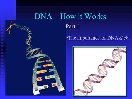 DNA – How it Works Part 1 The importance of DNA clickThe importance of DNA.