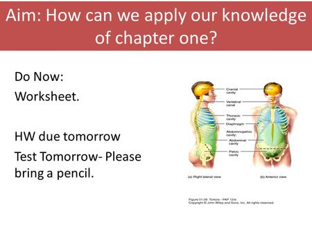 Aim: How can we apply our knowledge of chapter one? Do Now: Worksheet. HW due tomorrow Test Tomorrow- Please bring a pencil.