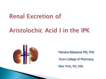 Renal Excretion of Aristolochic Acid I in the IPK