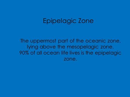 Epipelagic Zone The uppermost part of the oceanic zone, lying above the mesopelagic zone. 90% of all ocean life lives is the epipelagic zone.