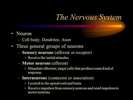The Nervous System Neuron –Cell body; Dendrites; Axon Three general groups of neurons –Sensory neurons (afferent or receptor) Receive the initial stimulus.