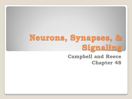 Neurons, Synapses, & Signaling Campbell and Reece Chapter 48.