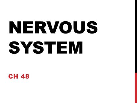 NERVOUS SYSTEM CH 48. NERVOUS SYSTEM Central Nervous system –  Brain & spinal cord Peripheral nervous system- nerves that communicate motor & sensory.