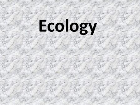 Ecology. Interdependence Key Theme in Ecology Crucial interactions occur between organisms and the living and nonliving environment.