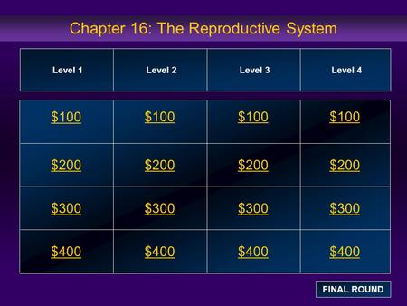Chapter 16: The Reproductive System $100 $200 $300 $400 $100$100$100 $200 $300 $400 Level 1Level 2Level 3Level 4 FINAL ROUND.