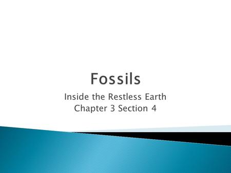 Inside the Restless Earth Chapter 3 Section 4