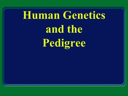 Human Genetics and the Pedigree. Section Objectives Understand how different mutations occur. Be able to identify different diseases and disorders.