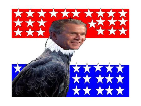 +. I took a picture of an eagle that I got off of the internet and erased the eagles head in paint then pasted in a picture of George W. Bush that I got.