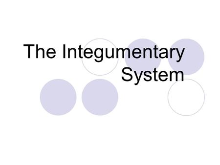 The Integumentary System. Integumentary System Includes the Skin, Hair & Nails.