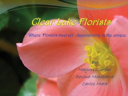 By Mayuri Sriram Devina Mohapatra Carlos Mata Clear Lake Florists Clear Lake Florists Where Flowers meet art …Specializing in the unique Where Flowers.