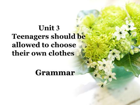 Unit 3 Teenagers should be allowed to choose their own clothes Grammar.