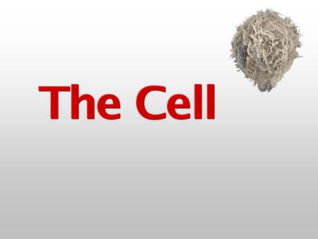 The Cell Theory 1. All organisms are made up of one or more cells. 2. Cells are the basic unit of life. 3. All cells arise from pre-existing cells.