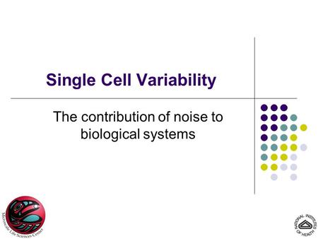 Single Cell Variability The contribution of noise to biological systems.