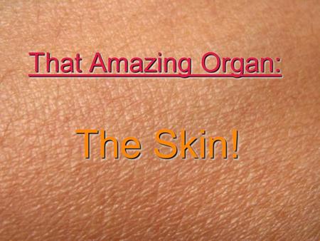 That Amazing Organ: The Skin! Functions of Skin: oCovers the body and prevents water loss oProtects body against injury or infection oHelps regulate.