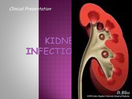 Clinical Presentation.  Inflammation  Kidney  Renal pelvis.