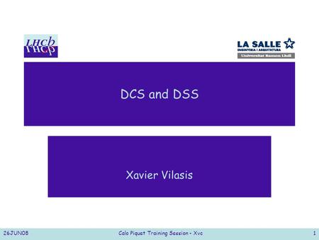26JUN08Calo Piquet Training Session - Xvc1 DCS and DSS Xavier Vilasis.