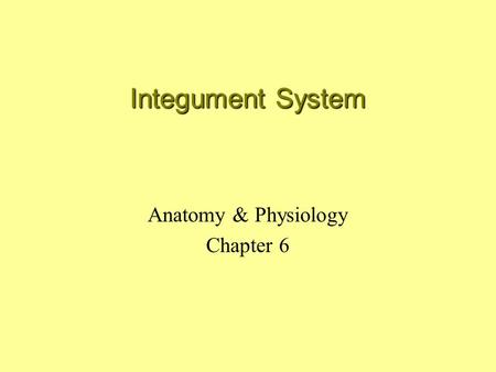 Integument System Anatomy & Physiology Chapter 6.