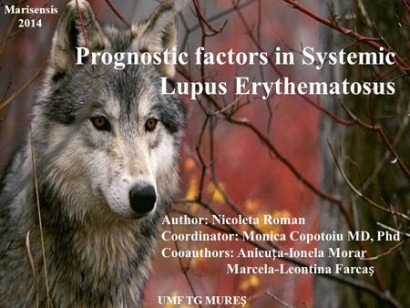 Prognostic factors in systemic lupus erithematosus Author: Nicoleta Roman Cooauthor: Anicua-Ionela Morar Coordinator: Lecturer Dr. Monica Copotoiu U.M.F.