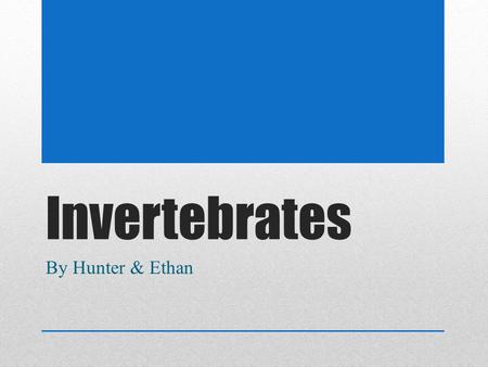 Invertebrates By Hunter & Ethan. Cnidarians Example: Jellyfish Definition: An animal with tentacles that have the ability to sting its prey or predators.