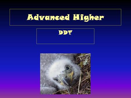Advanced Higher DDT.