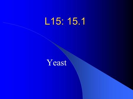 L15: 15.1 Yeast QUESTION: What conditions must be present in order for yeast to become active?