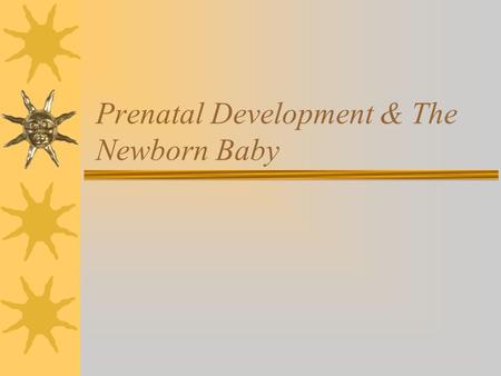Prenatal Development & The Newborn Baby