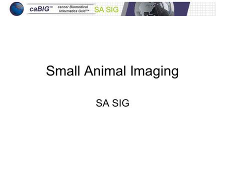 SA SIG Small Animal Imaging SA SIG. FACT Most humans are all animal Not all animals are human You have a head on your shoulders…