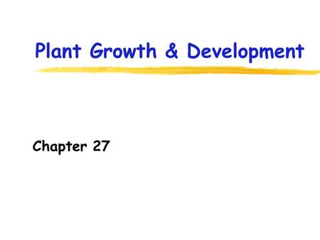 Plant Growth & Development Chapter 27. Plant Growth and Development How do cells differentiate and form organs of the primary body of a plant? Internal.