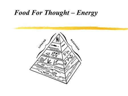 Food For Thought – Energy. Ecology zthe study of the RELATIONSHIPS of living things to EACH OTHER and their ENVIRONMENT (surroundings)