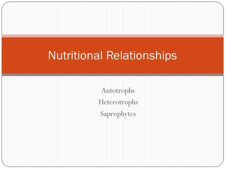 Nutritional Relationships