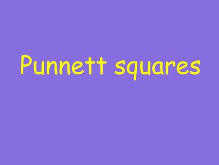 Punnett squares. The tool which uses the combination of alleles to predict the probability of traits showing up in offspring.