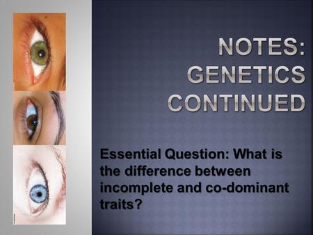 Notes: Genetics continued