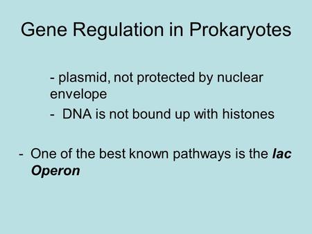 Gene Regulation in Prokaryotes - plasmid, not protected by nuclear envelope - DNA is not bound up with histones -One of the best known pathways is the.