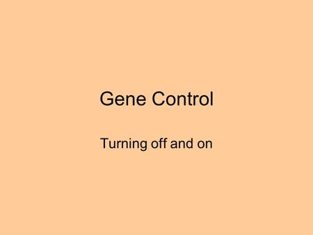 Gene Control Turning off and on. Gene Control Molecular mechanisms that govern when and how fast genes will be transcribed and translated. Not all genes.