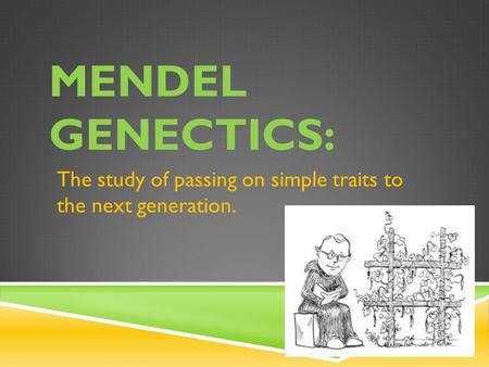 MENDEL GENECTICS: The study of passing on simple traits to the next generation.