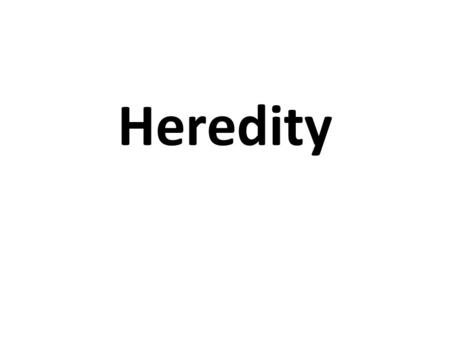 Heredity. Gregor Mendel (1822) Grew up on a farm Studied trees and flowers At 21 joined the monastery The monks taught him science Conducted scientific.