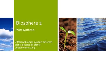 Biosphere 2 Photosynthesis Different biomes support different plants despite all plants photosynthesizing.