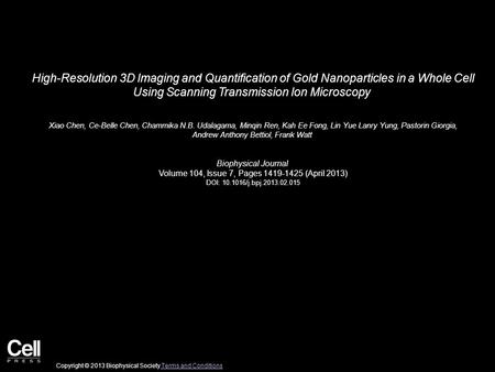 High-Resolution 3D Imaging and Quantification of Gold Nanoparticles in a Whole Cell Using Scanning Transmission Ion Microscopy Xiao Chen, Ce-Belle Chen,