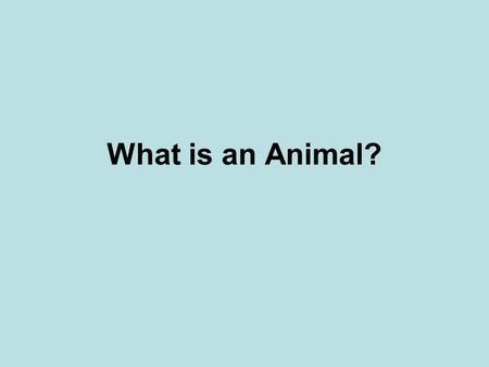 What is an Animal?.