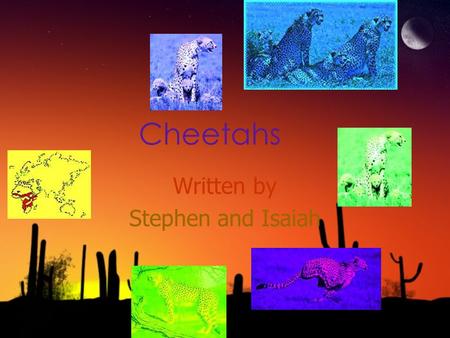Cheetahs Written by Stephen and Isaiah Written by Stephen and Isaiah.