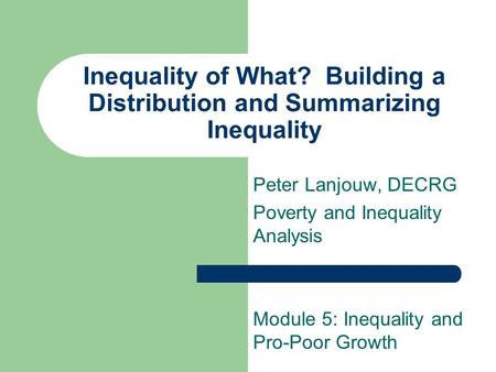 Poverty and inequality analysis report