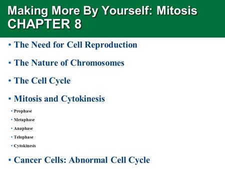 Making More By Yourself: Mitosis CHAPTER 8 The Need for Cell Reproduction The Nature of Chromosomes The Cell Cycle Mitosis and Cytokinesis Prophase Metaphase.