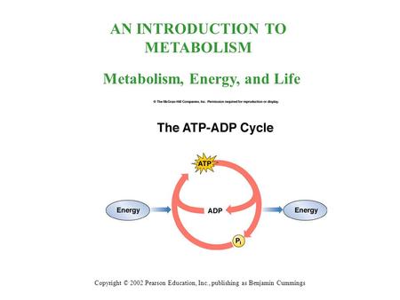 AN INTRODUCTION TO METABOLISM Copyright © 2002 Pearson Education, Inc., publishing as Benjamin Cummings Metabolism, Energy, and Life.