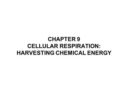 CHAPTER 9 CELLULAR RESPIRATION: HARVESTING CHEMICAL ENERGY.