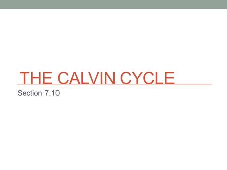 THE CALVIN CYCLE Section 7.10. Carbon Fixation by the Calvin Cycle The Second set of reactions in photosynthesis involves a biochemical pathway known.