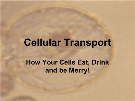 Cellular Transport How Your Cells Eat, Drink and be Merry!