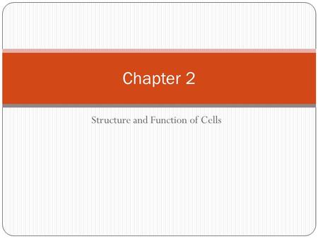 Structure and Function of Cells Chapter 2. Looking at cells Living cells can be classified into 2 different kinds: Prokaryotic cells Eukaryotic cells.